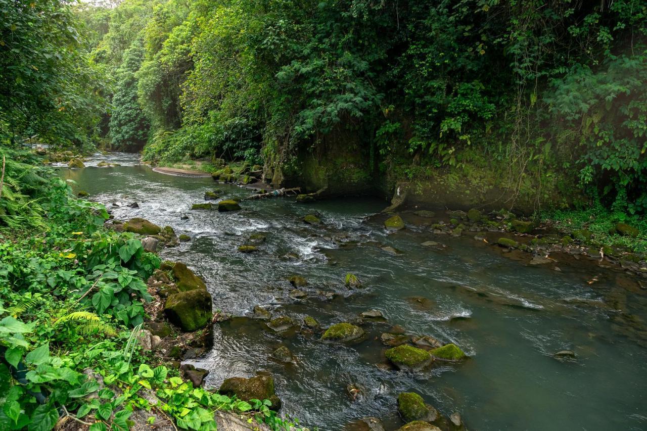 The Pyramid Ubud River Villas بيانغان المظهر الخارجي الصورة