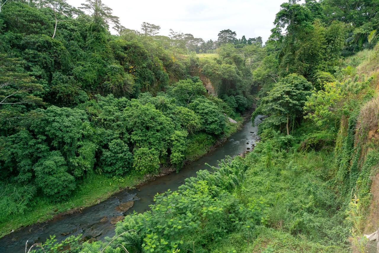 The Pyramid Ubud River Villas بيانغان المظهر الخارجي الصورة