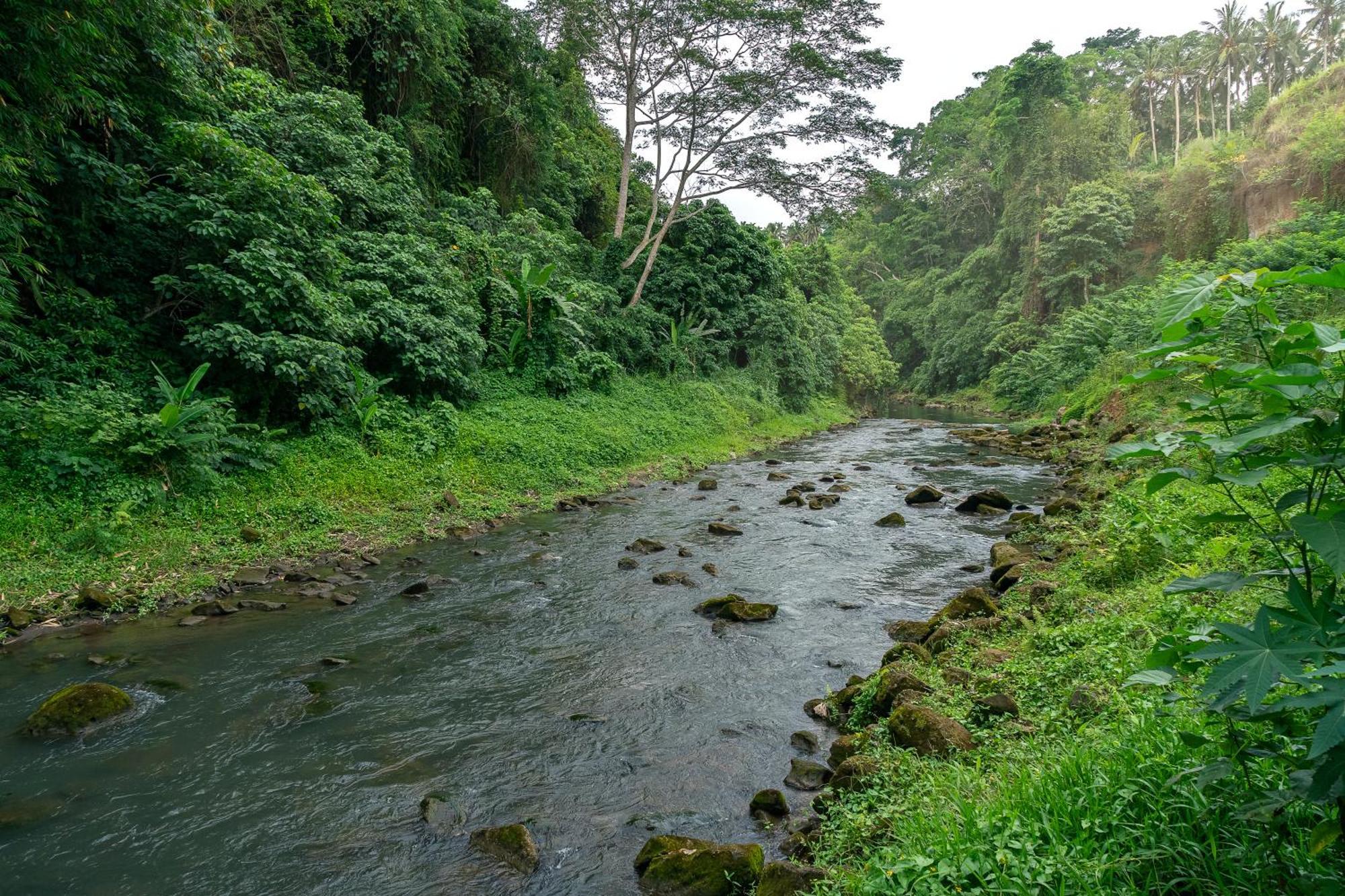 The Pyramid Ubud River Villas بيانغان المظهر الخارجي الصورة